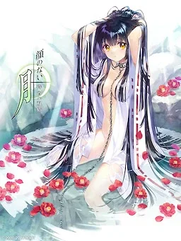 无颜之月-待宵双椿 资源内容 预览图